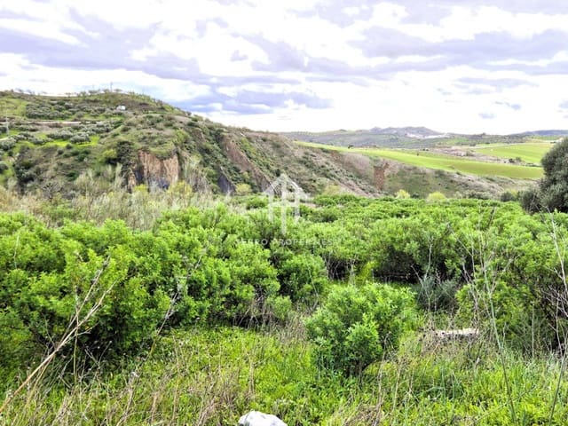 Terre non Aménagée à vendre à Antequera - 49 900 € (Ref: 9665734)