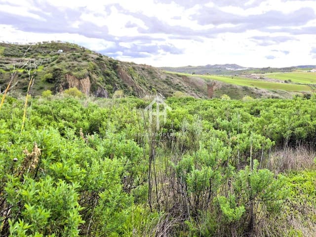 Terre non Aménagée à vendre à Antequera - 49 900 € (Ref: 9665734)