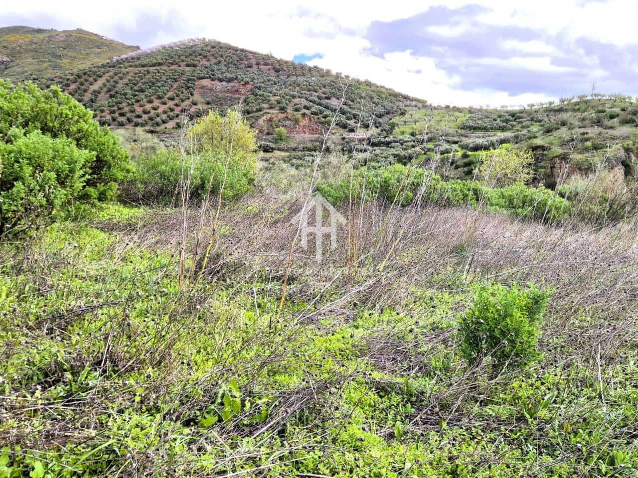 Teren niezagospodarowany na sprzedaż w Antequera - 49 900 € (Ref: 9665734)