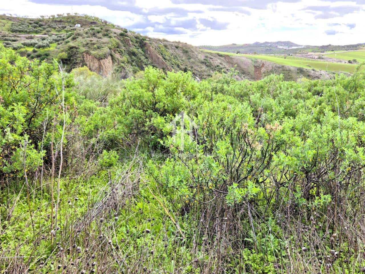 Teren niezagospodarowany na sprzedaż w Antequera - 49 900 € (Ref: 9665734)