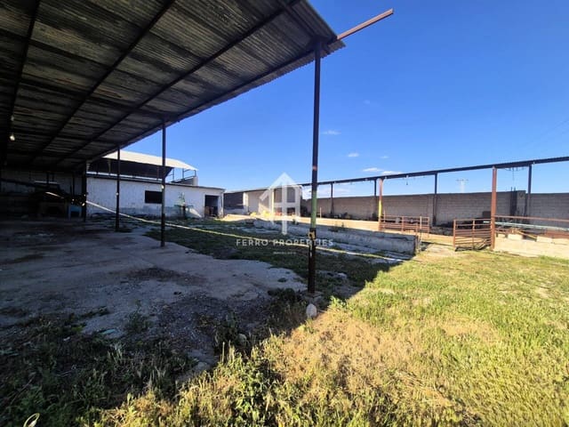 Grond te koop in Escoznar, Illora - € 150.000 (Ref: 9782934)