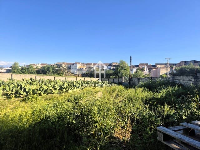 Grond te koop in Escoznar, Illora - € 150.000 (Ref: 9782934)