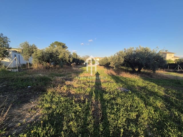 Terrain à Bâtir à vendre à Atarfe - 135 000 € (Ref: 9788080)