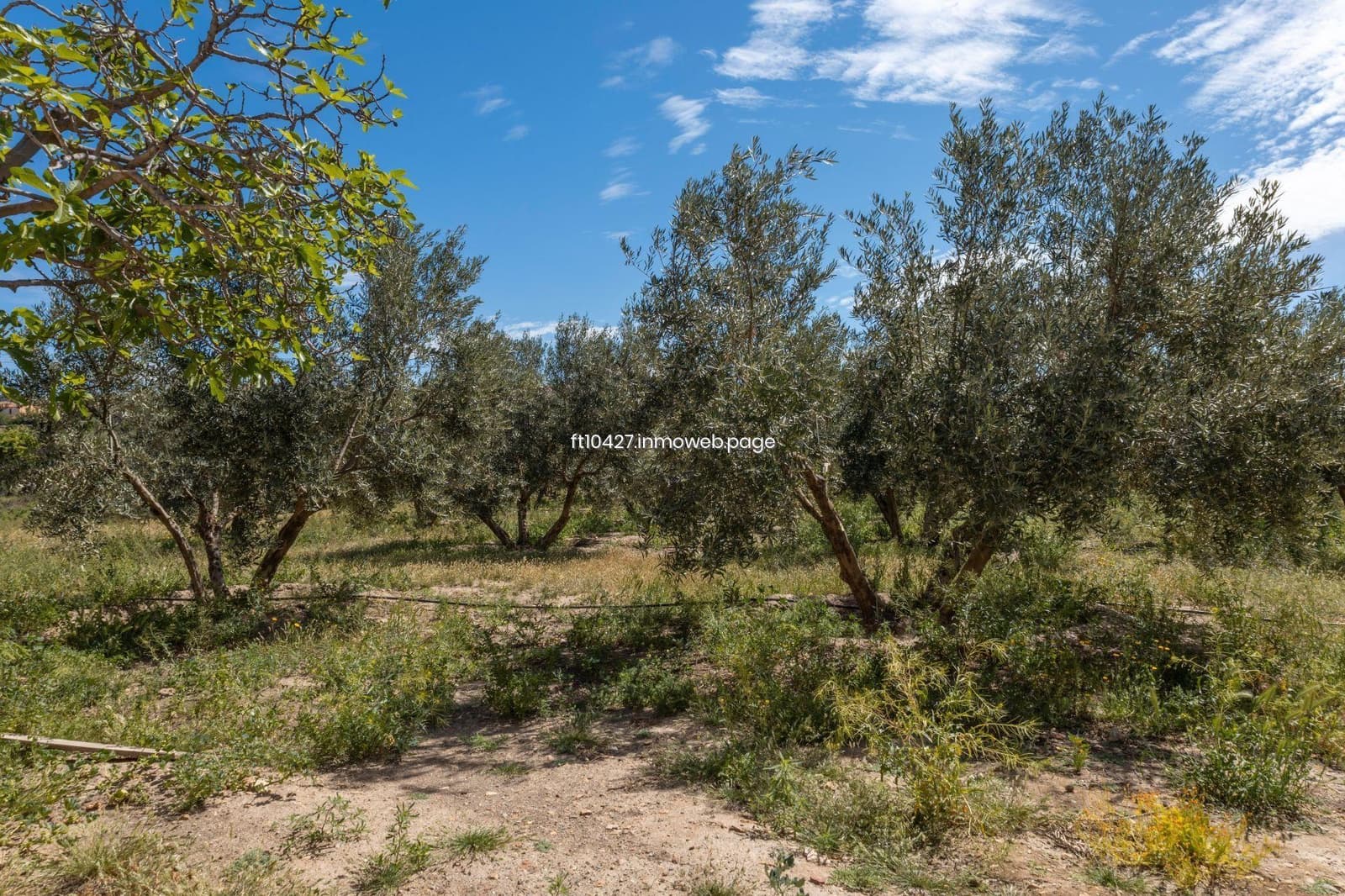 Chalet de 6 habitaciones en Guadix en venta con piscina - 299.500 € (Ref: 10088781)