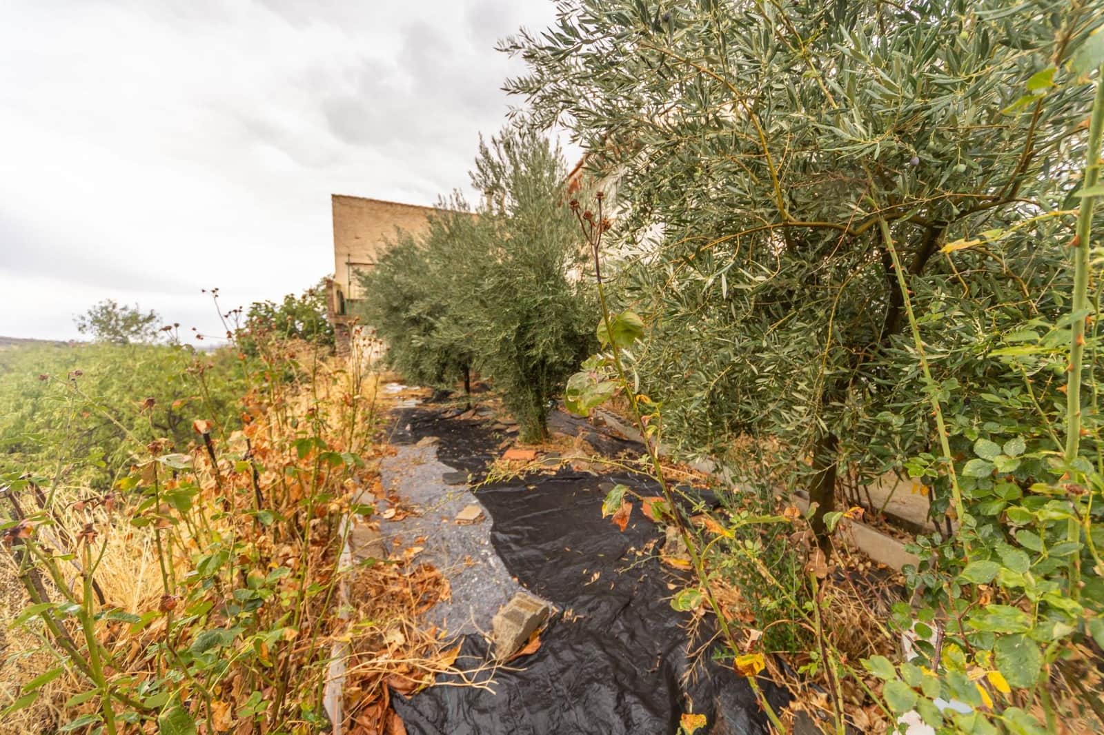 4 soverom Villa til salgs i Lanteira - € 195 000 (Ref: 10157071)