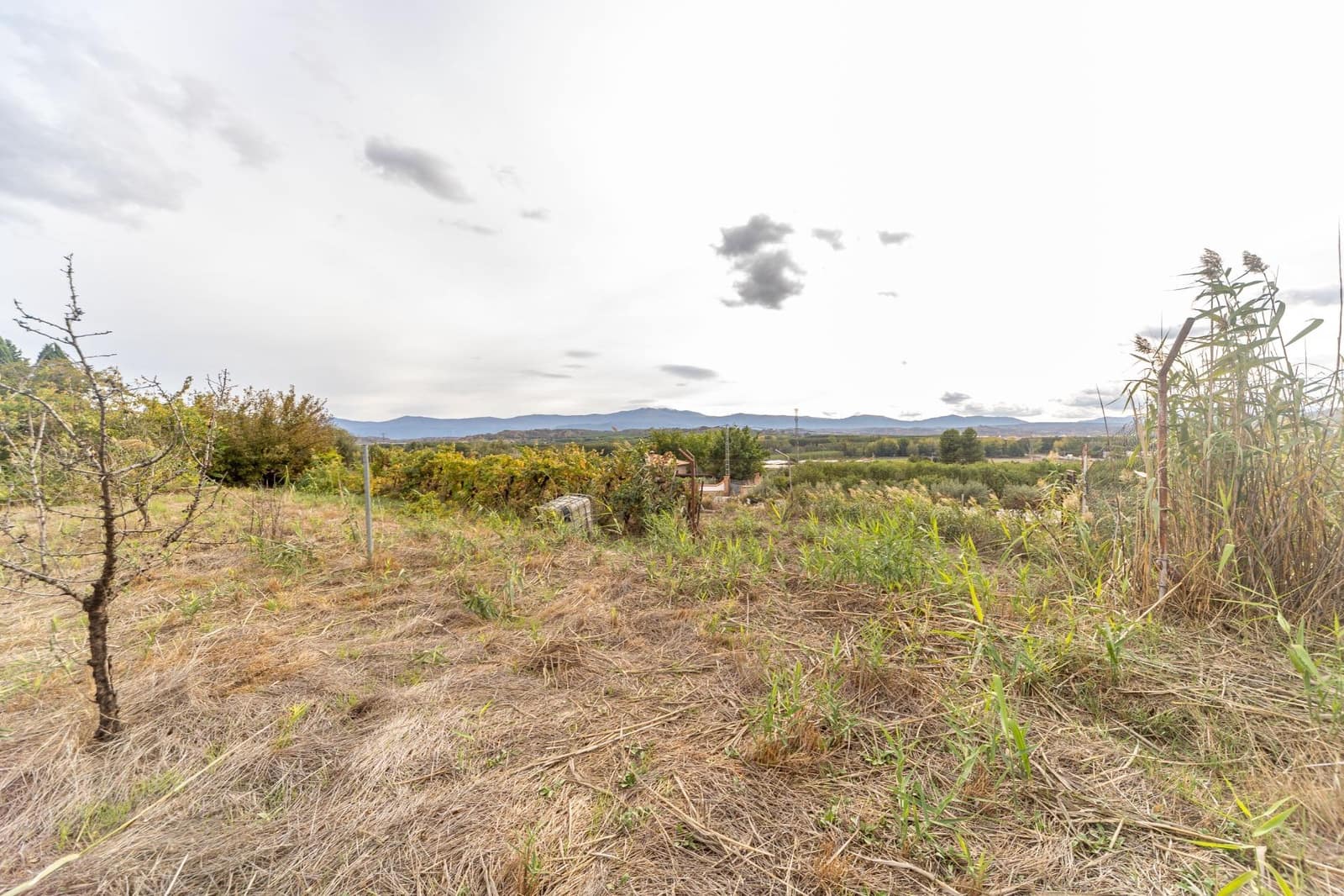 2 sypialnia Finka/Dom wiejski na sprzedaż w Benalua de Guadix - 125 000 € (Ref: 10179701)