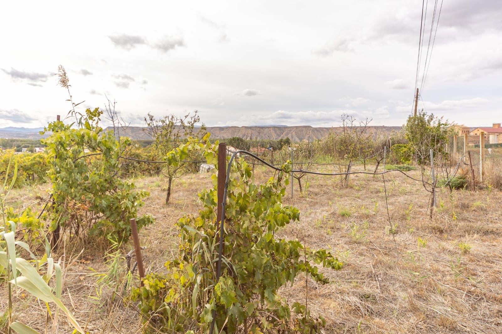 2 sypialnia Finka/Dom wiejski na sprzedaż w Benalua de Guadix - 125 000 € (Ref: 10179701)