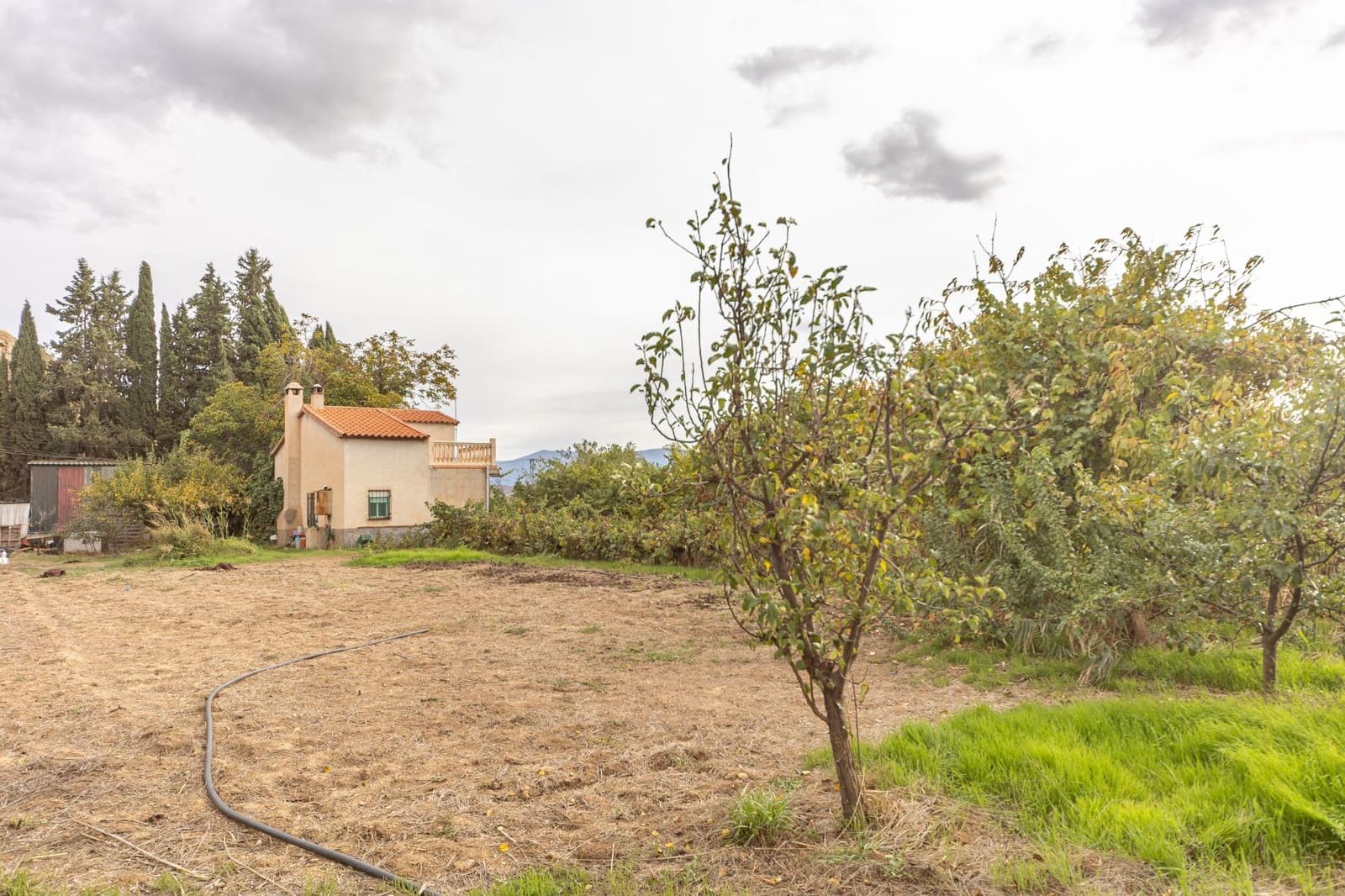 2 sypialnia Finka/Dom wiejski na sprzedaż w Benalua de Guadix - 125 000 € (Ref: 10179701)