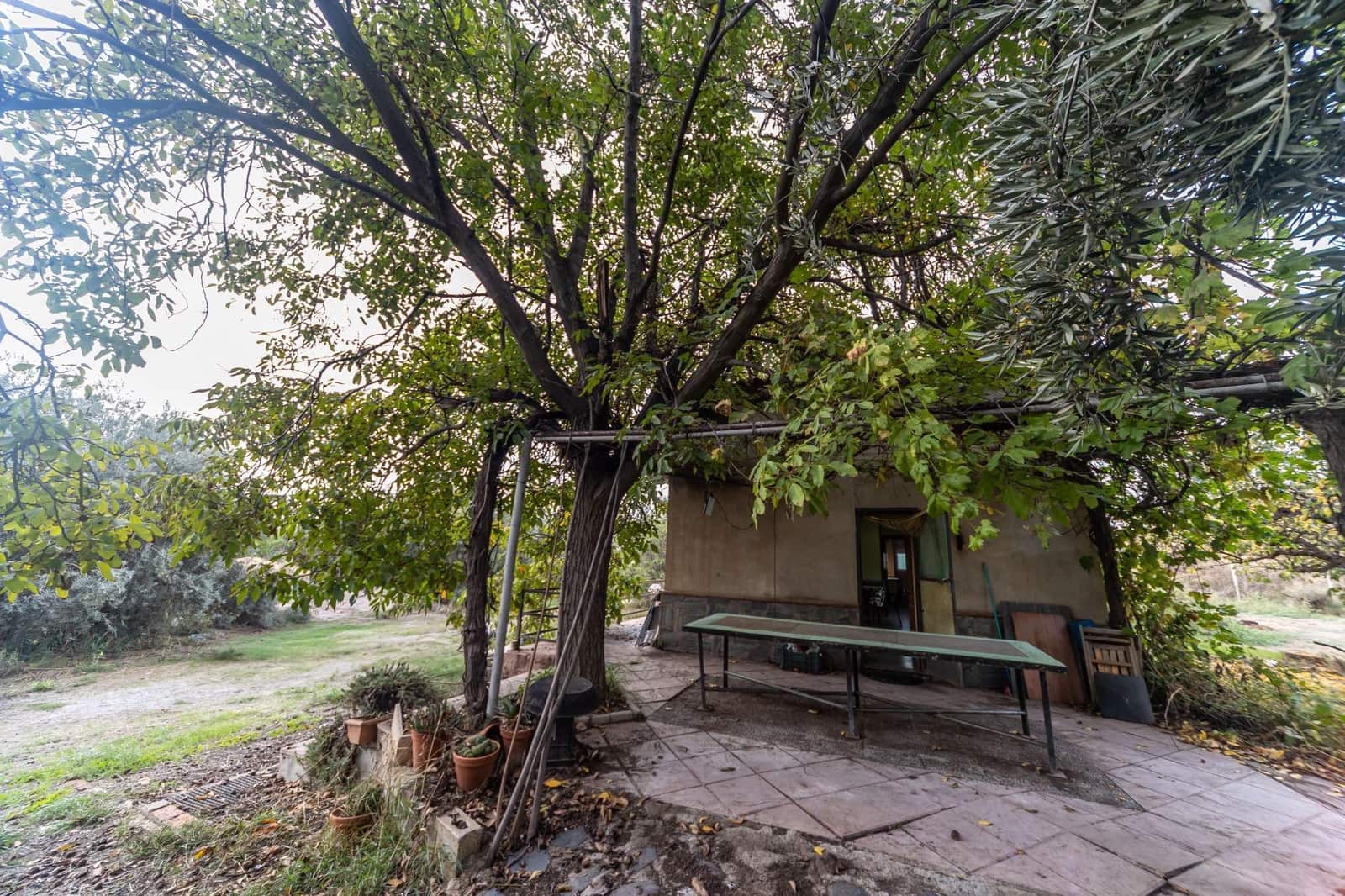2 sypialnia Finka/Dom wiejski na sprzedaż w Benalua de Guadix - 125 000 € (Ref: 10179701)
