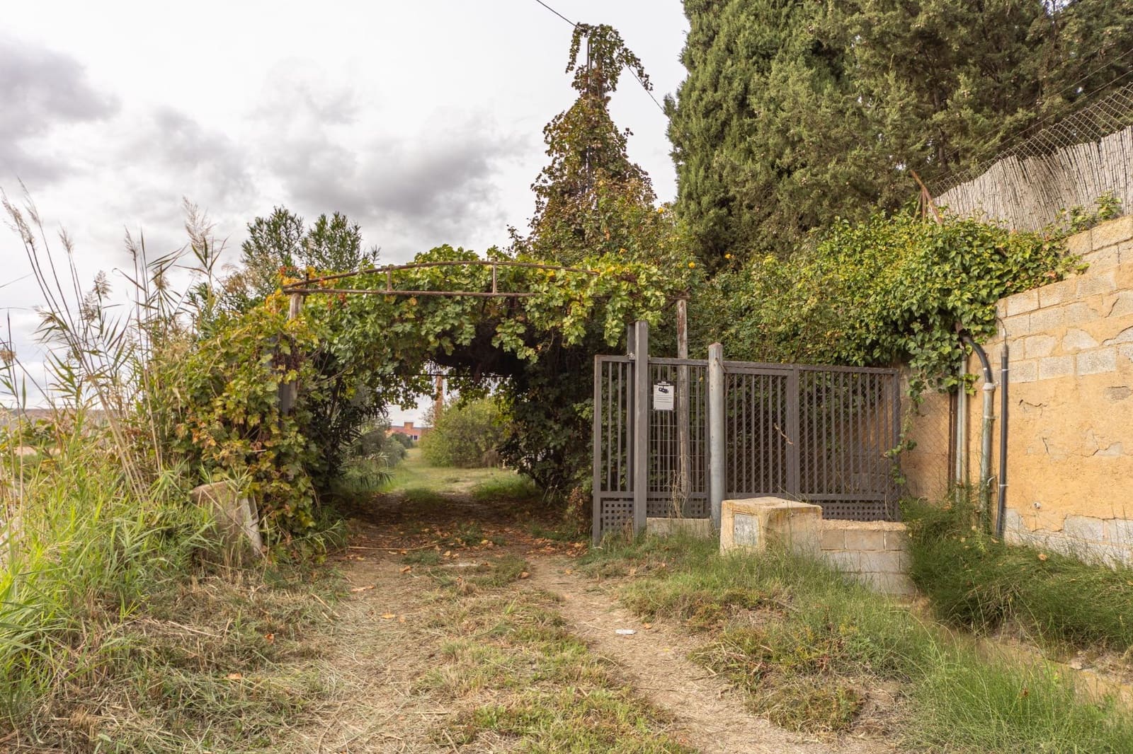 2 sypialnia Finka/Dom wiejski na sprzedaż w Benalua de Guadix - 125 000 € (Ref: 10179701)