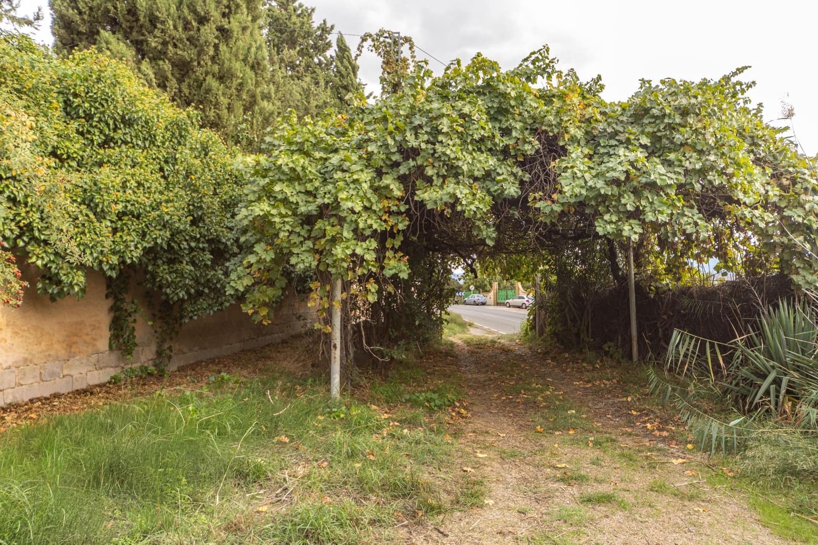 2 sypialnia Finka/Dom wiejski na sprzedaż w Benalua de Guadix - 125 000 € (Ref: 10179701)