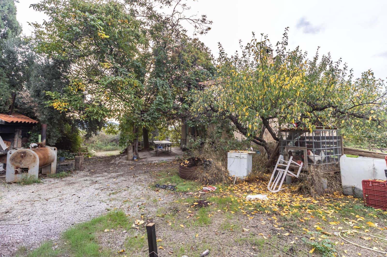 2 sypialnia Finka/Dom wiejski na sprzedaż w Benalua de Guadix - 125 000 € (Ref: 10179701)