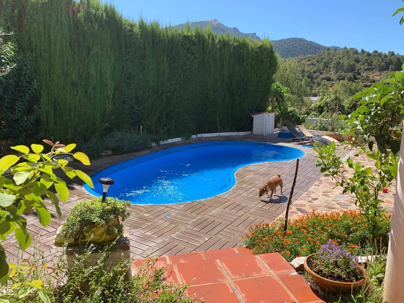 7 soveværelse Villa til salg i Siles med swimmingpool garage - € 330.000 (Ref: 9129132)