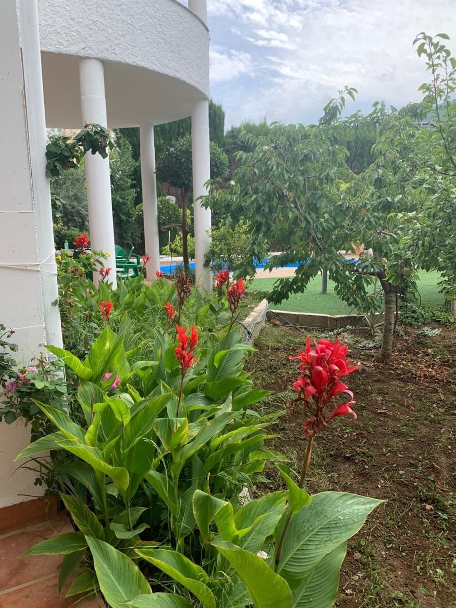 7 soveværelse Villa til salg i Siles med swimmingpool garage - € 330.000 (Ref: 9129132)