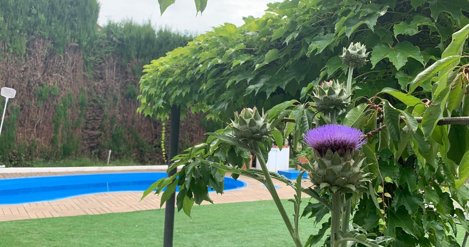 7 soveværelse Villa til salg i Siles med swimmingpool garage - € 330.000 (Ref: 9129132)