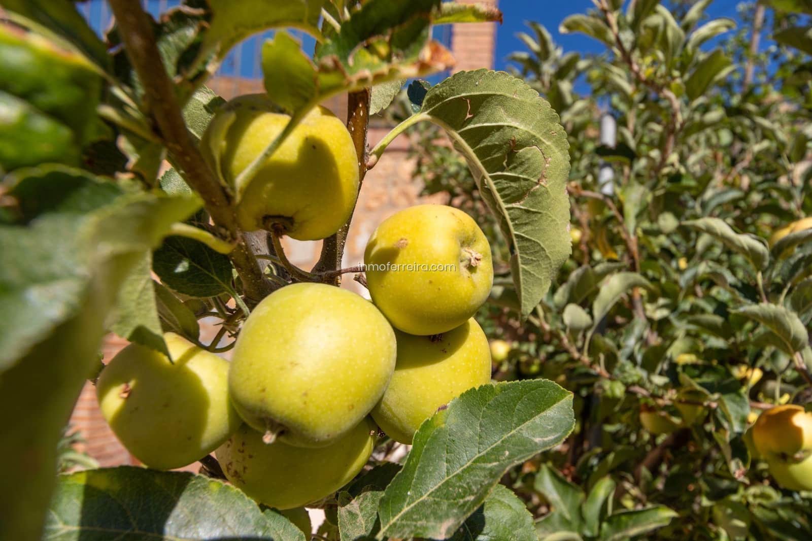 3 quarto Casa em Banda para venda em Guadix com garagem - 190 000 € (Ref: 9582993)