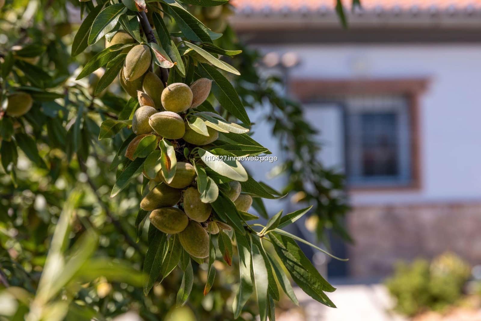 4 bedroom Villa for sale in Guadix - € 200,000 (Ref: 9770702)
