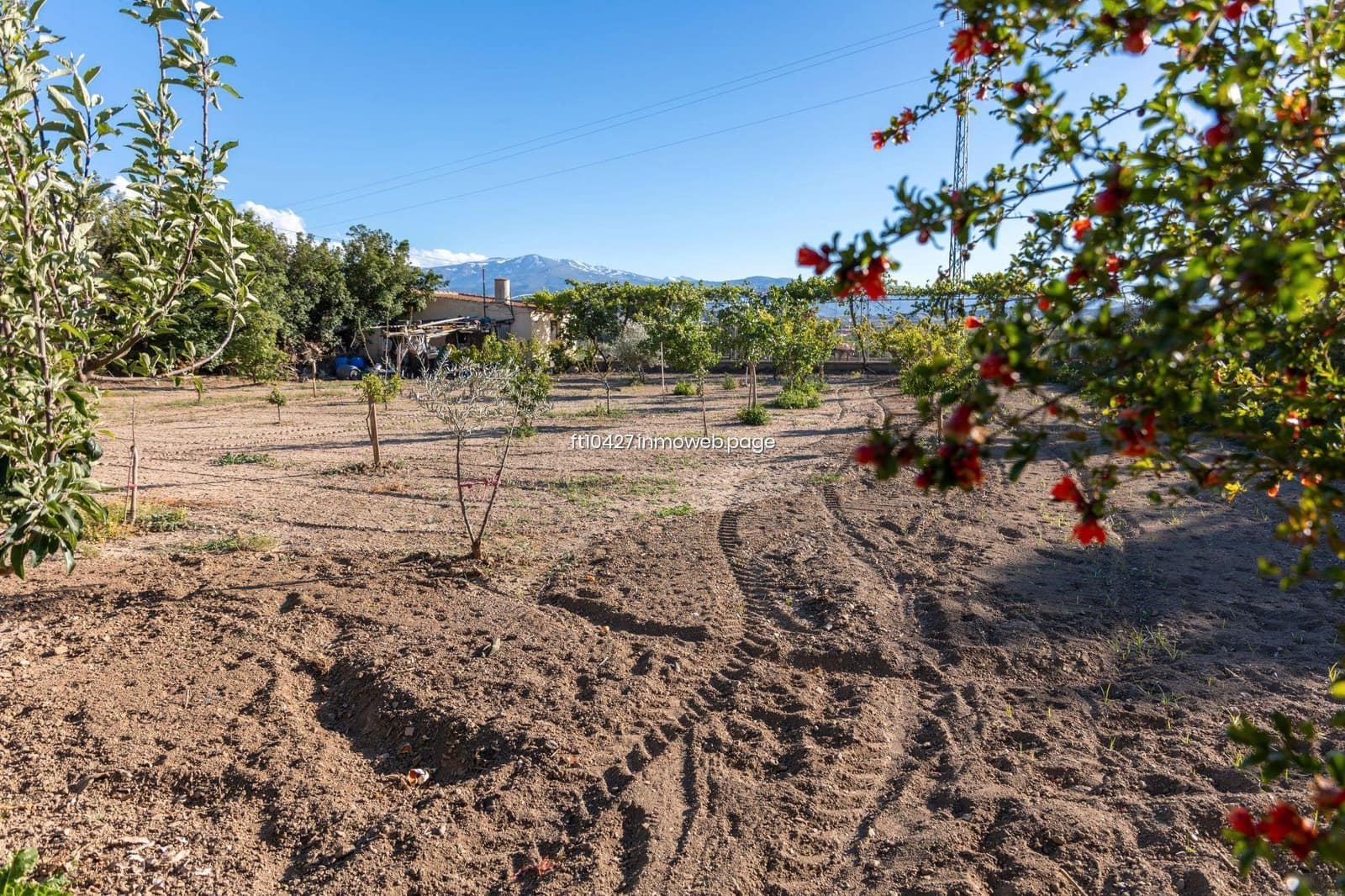 3 soverom Villa til salgs i Guadix med svømmebasseng - € 289 000 (Ref: 9952671)