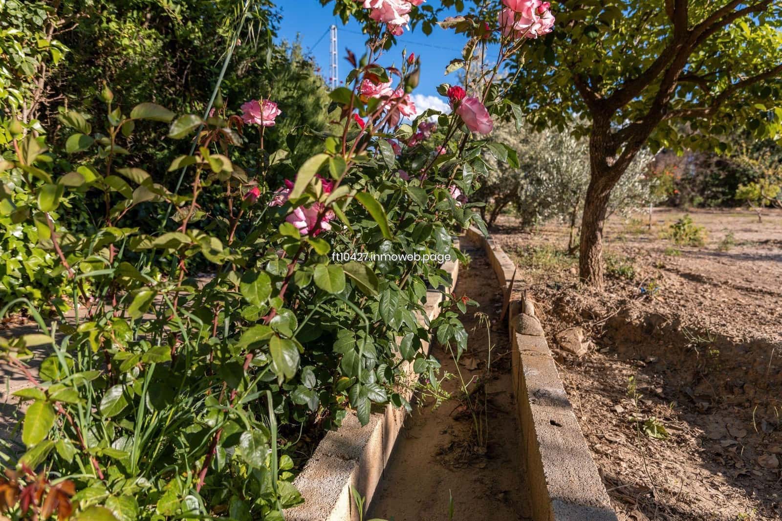 3 soverom Villa til salgs i Guadix med svømmebasseng - € 289 000 (Ref: 9952671)