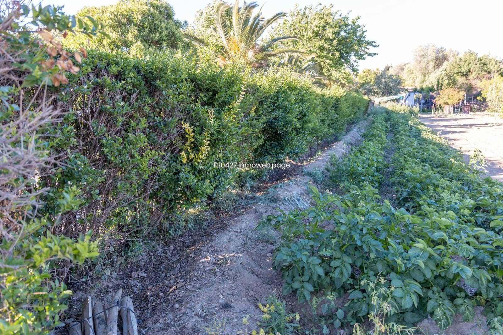3 soverom Villa til salgs i Guadix med svømmebasseng - € 289 000 (Ref: 9952671)