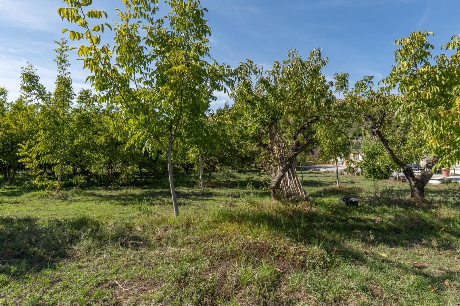 Finca/Country House for sale in Huetor Vega with pool garage - € 230,000 (Ref: 10013947)