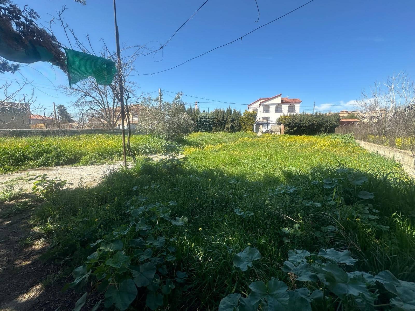 Building Plot for sale in Ogijares - € 165,000 (Ref: 10013984)
