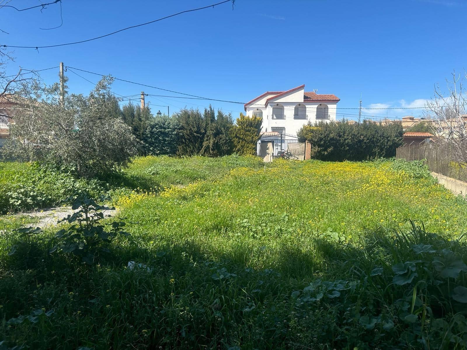 Building Plot for sale in Ogijares - € 165,000 (Ref: 10013984)