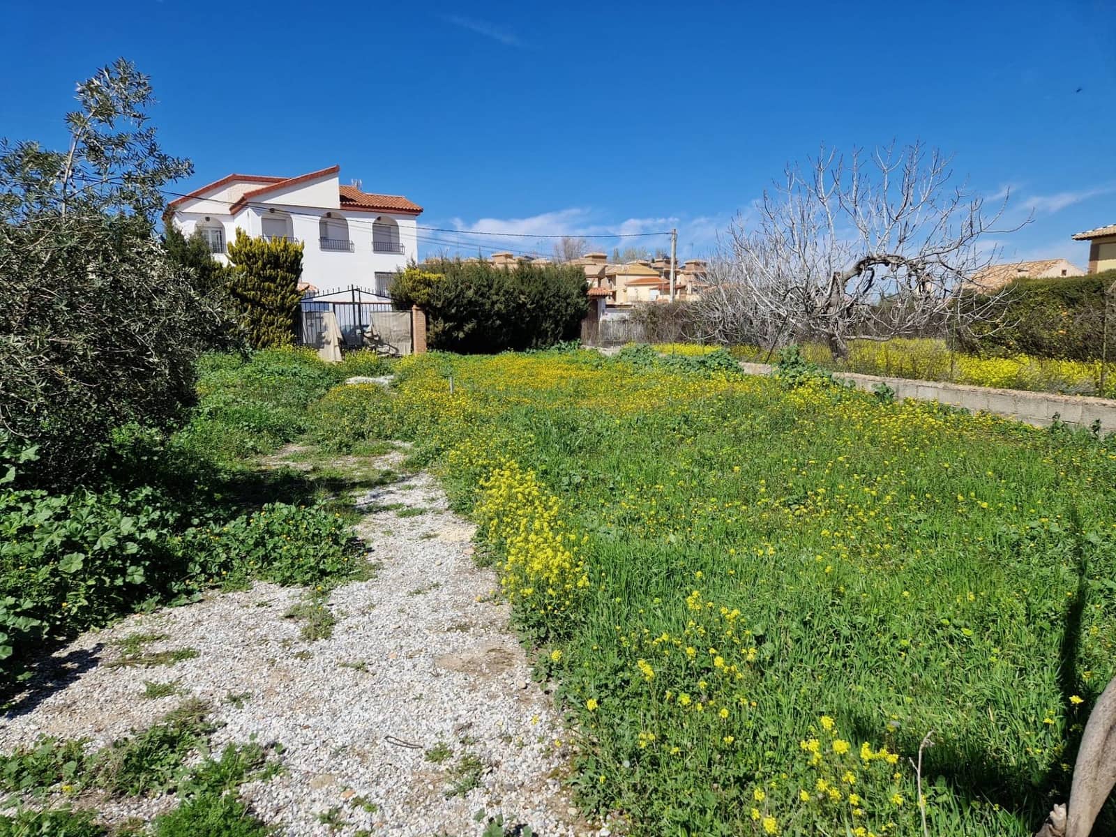 Building Plot for sale in Ogijares - € 165,000 (Ref: 10013984)