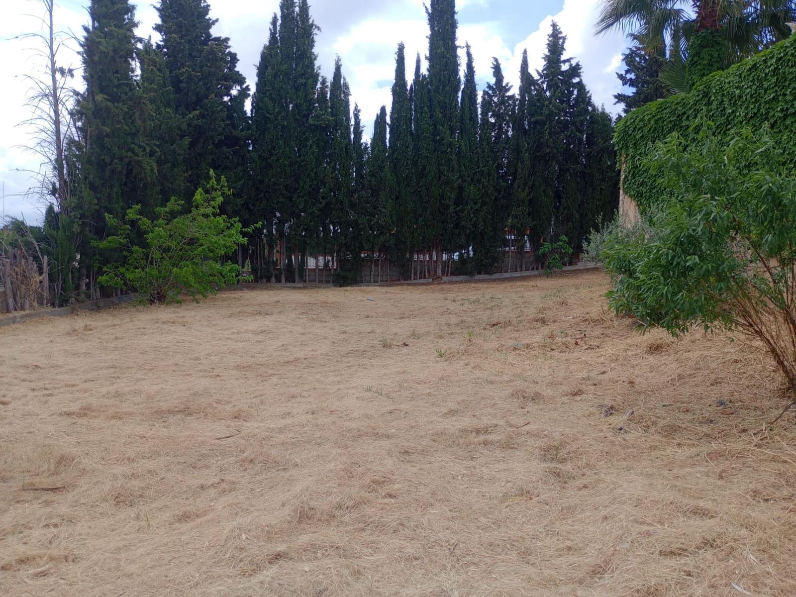 Building Plot for sale in Cullar Vega - € 69,000 (Ref: 10013996)