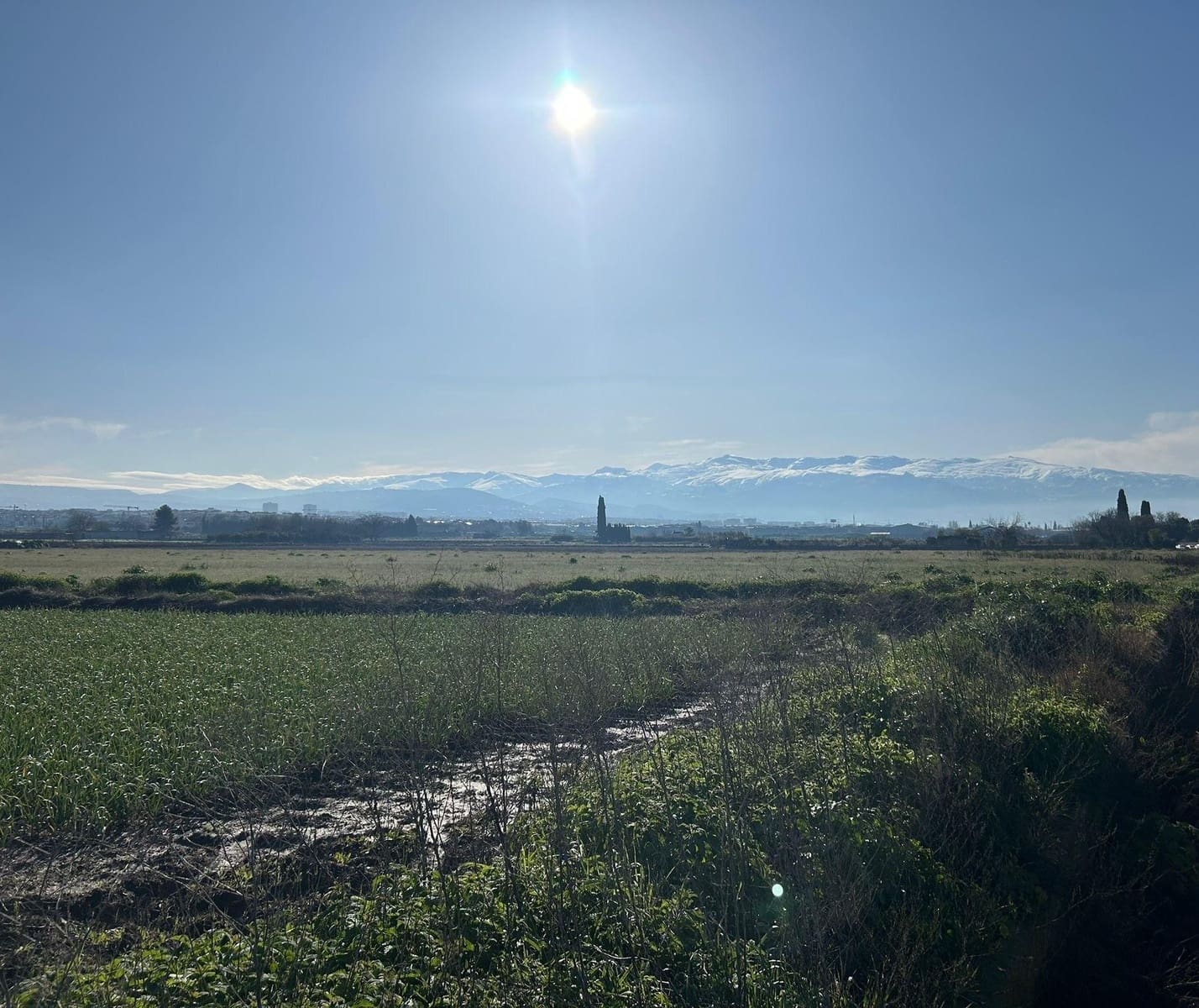 Undeveloped Land for sale in Maracena - € 75,000 (Ref: 10014014)