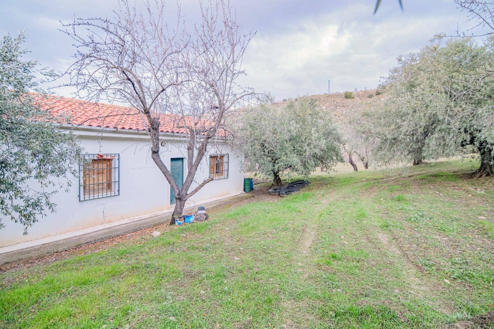 Undeveloped Land for sale in Pinos Genil - € 130,000 (Ref: 10014028)