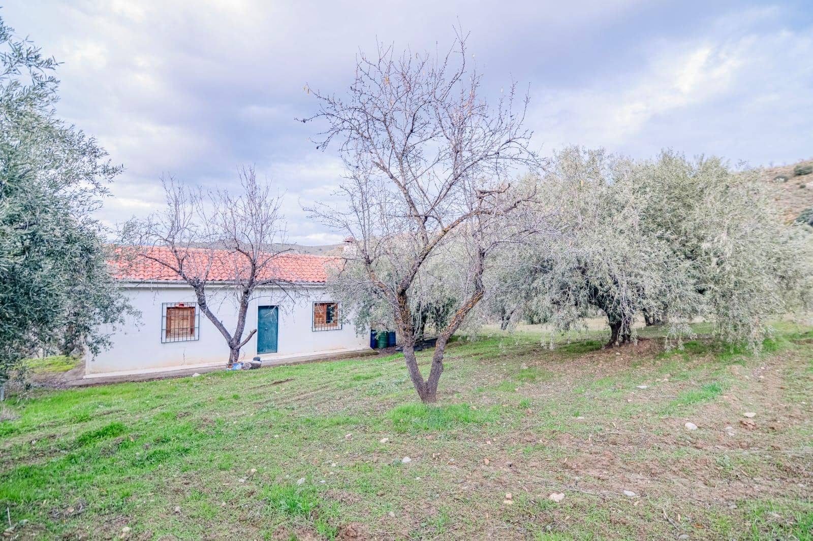 Undeveloped Land for sale in Pinos Genil - € 130,000 (Ref: 10014028)