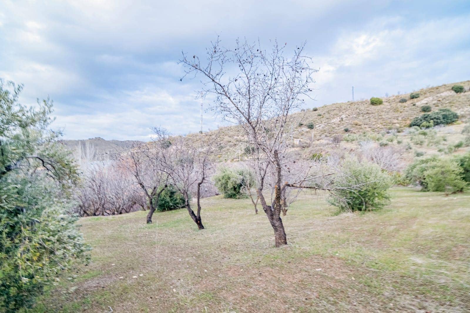 Undeveloped Land for sale in Pinos Genil - € 130,000 (Ref: 10014028)