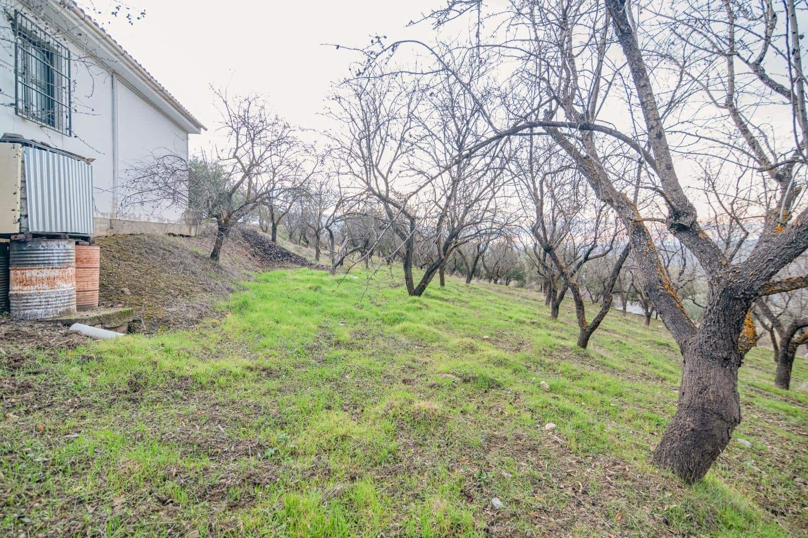 Undeveloped Land for sale in Pinos Genil - € 130,000 (Ref: 10014028)