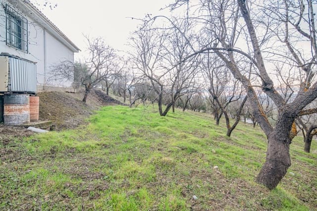 Undeveloped Land for sale in Pinos Genil - € 130,000 (Ref: 10014028)