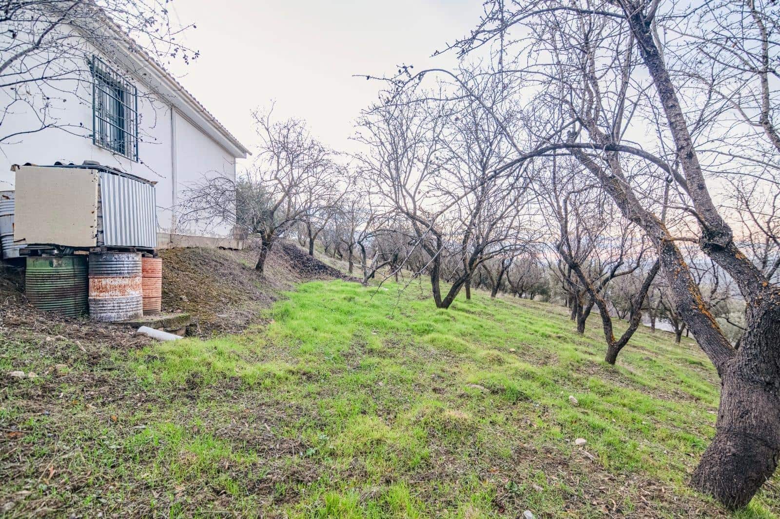 Undeveloped Land for sale in Pinos Genil - € 130,000 (Ref: 10014028)