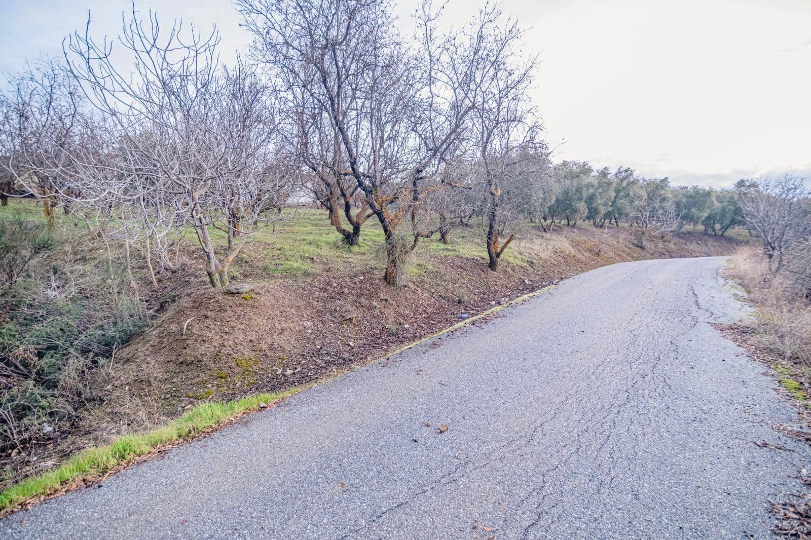 Undeveloped Land for sale in Pinos Genil - € 130,000 (Ref: 10014028)