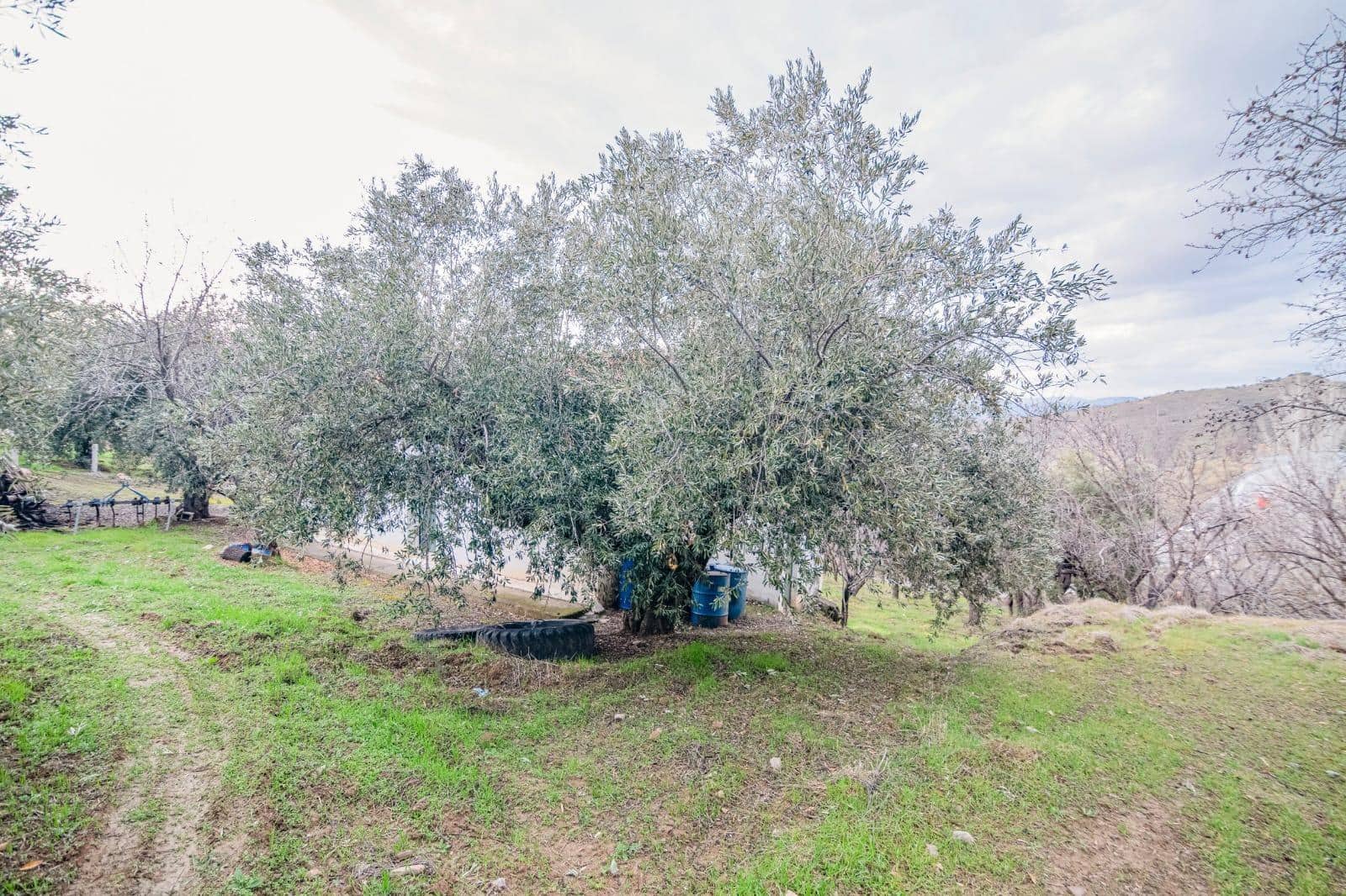 Undeveloped Land for sale in Pinos Genil - € 130,000 (Ref: 10014028)