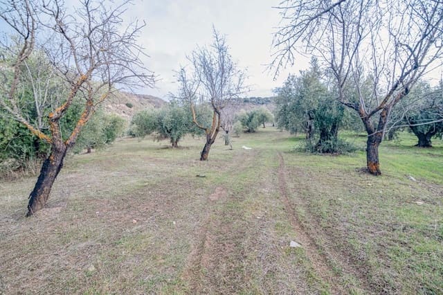 Undeveloped Land for sale in Pinos Genil - € 130,000 (Ref: 10014028)