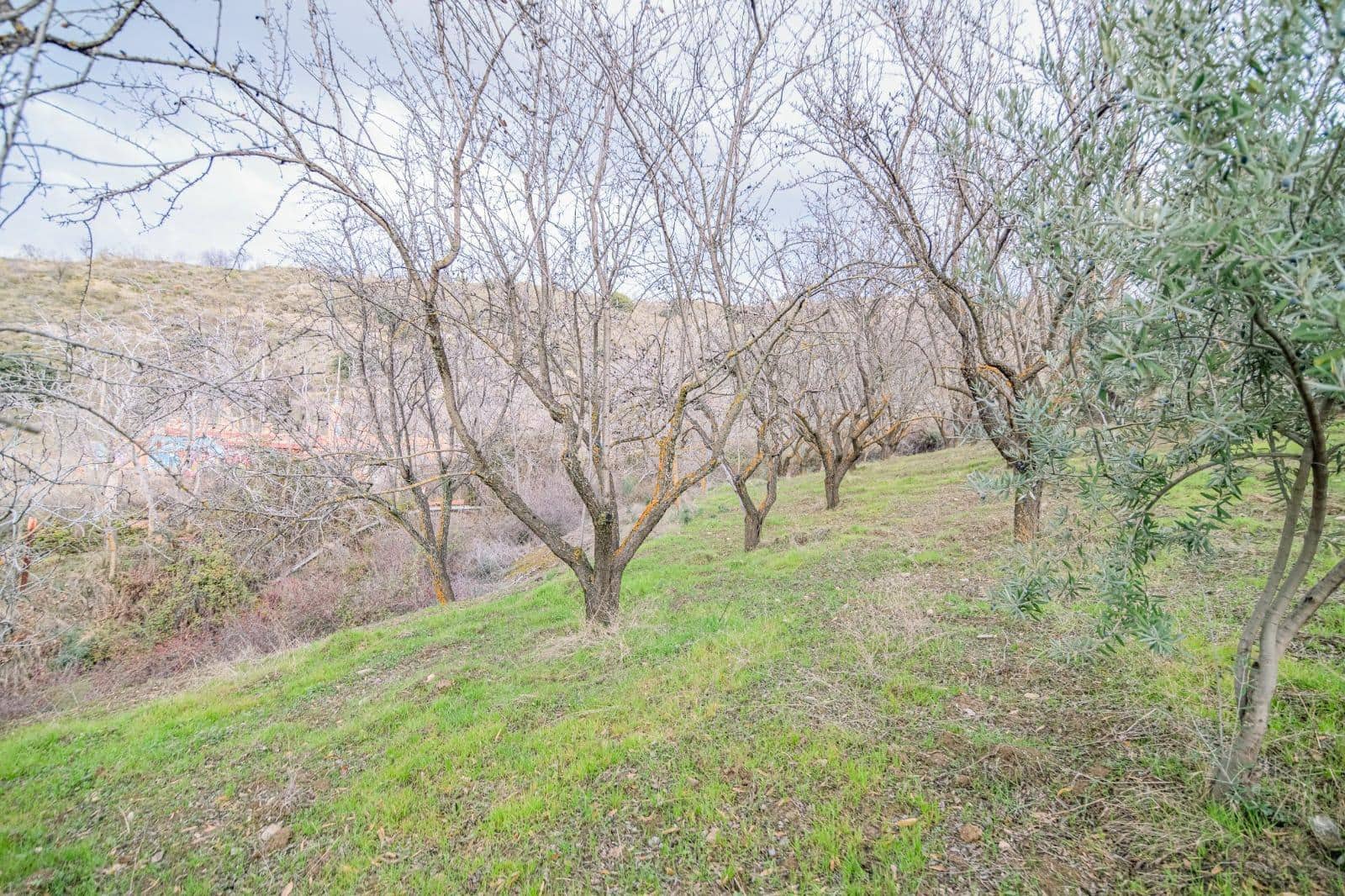 Undeveloped Land for sale in Pinos Genil - € 130,000 (Ref: 10014028)
