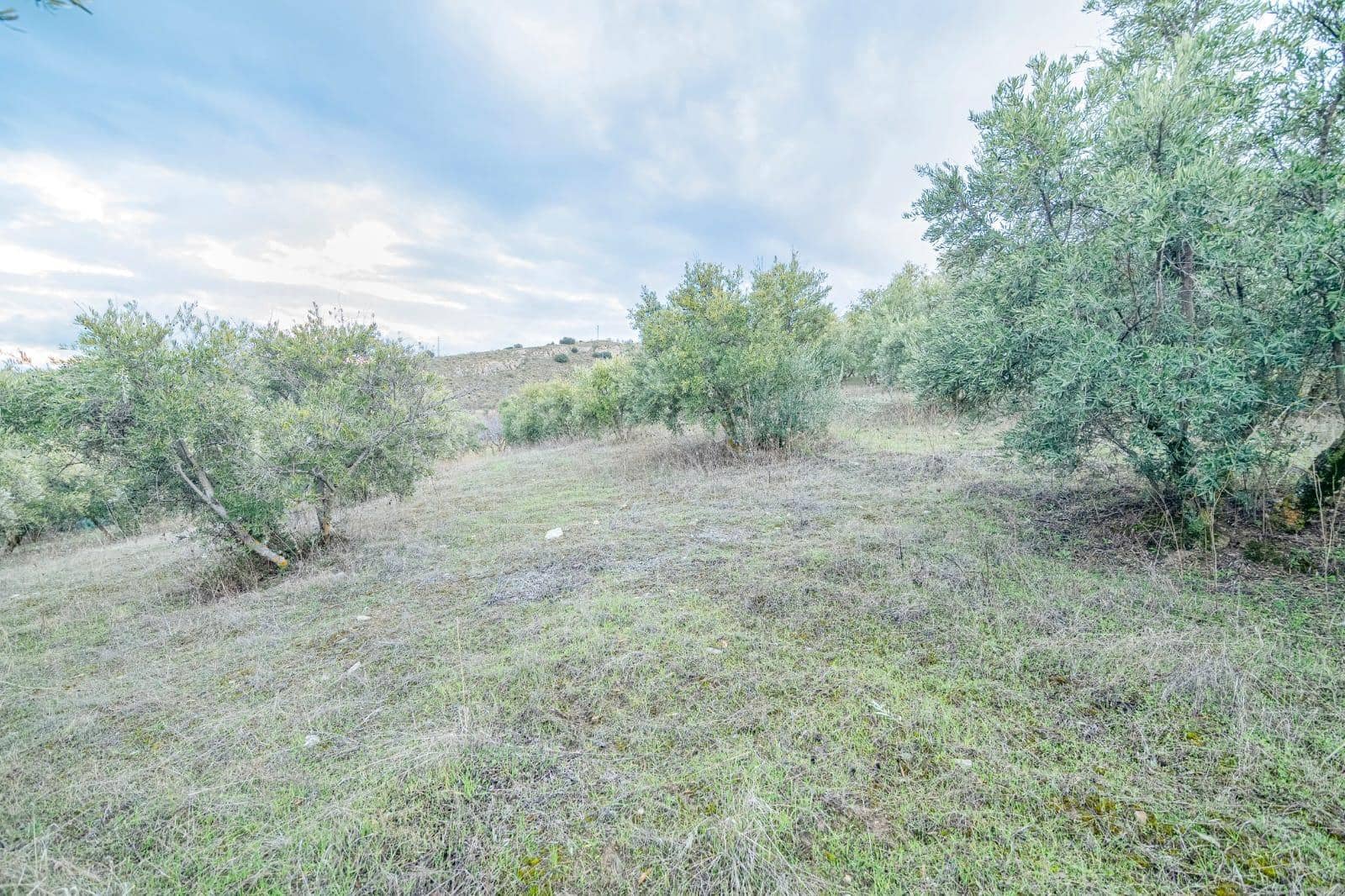 Undeveloped Land for sale in Pinos Genil - € 130,000 (Ref: 10014028)