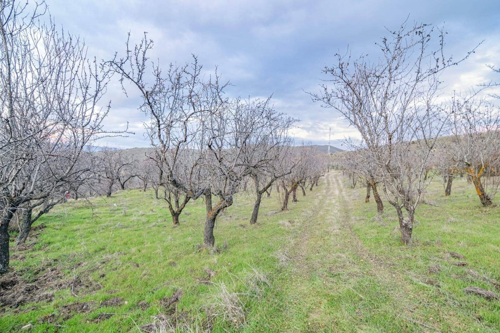 Undeveloped Land for sale in Pinos Genil - € 130,000 (Ref: 10014028)