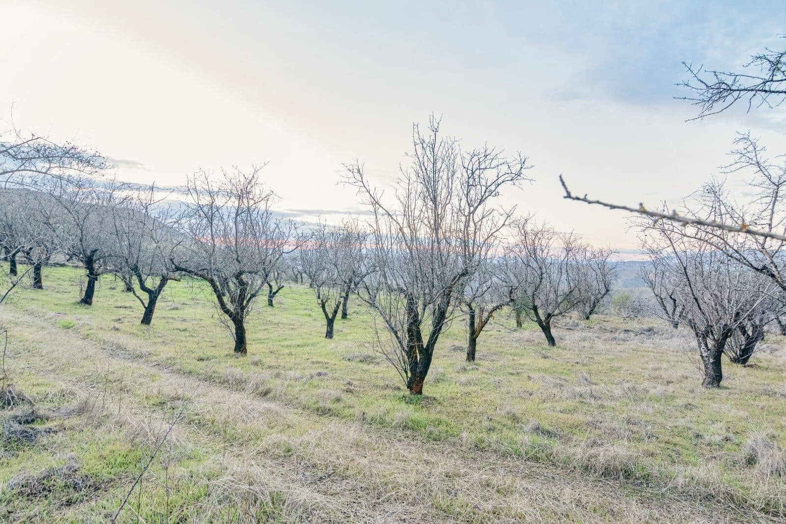 Undeveloped Land for sale in Pinos Genil - € 130,000 (Ref: 10014028)