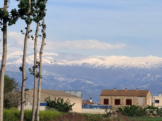 Terre non Aménagée à vendre à Fuente Vaqueros - 52 000 € (Ref: 10014029)