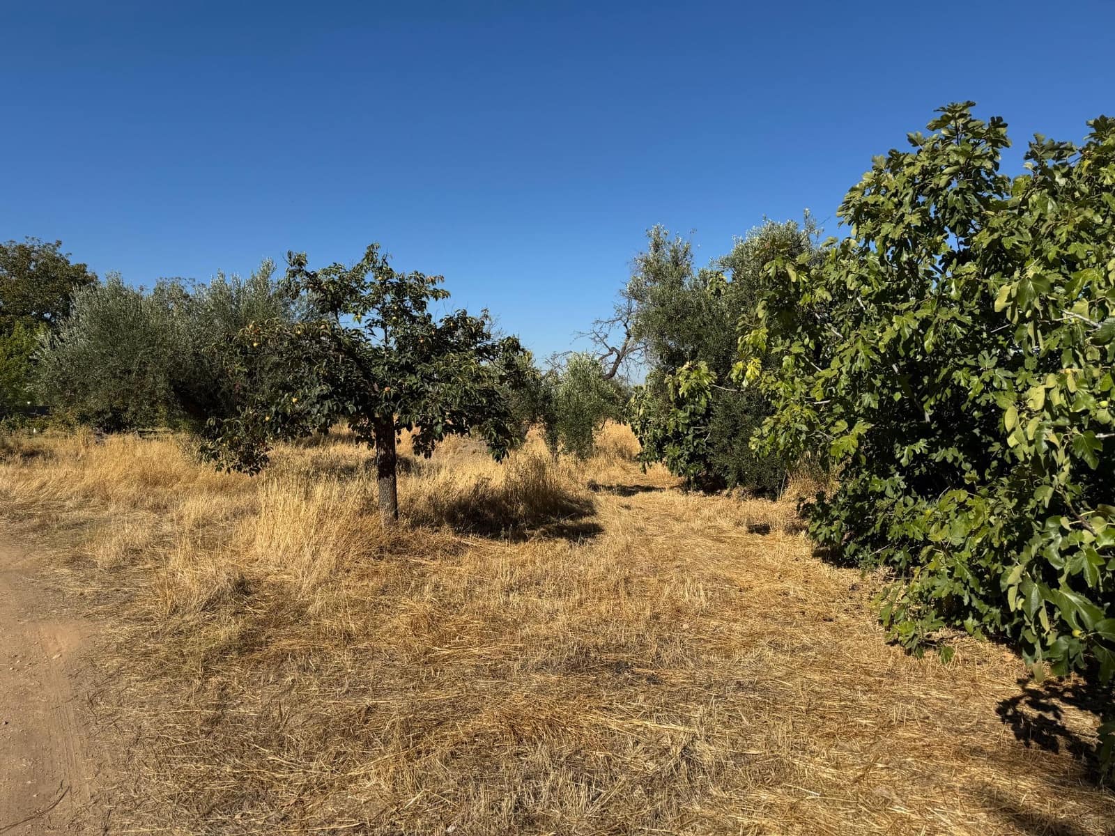 4 quarto Quinta/Casa Rural para venda em Gojar com piscina - 1 000 000 € (Ref: 10014030)