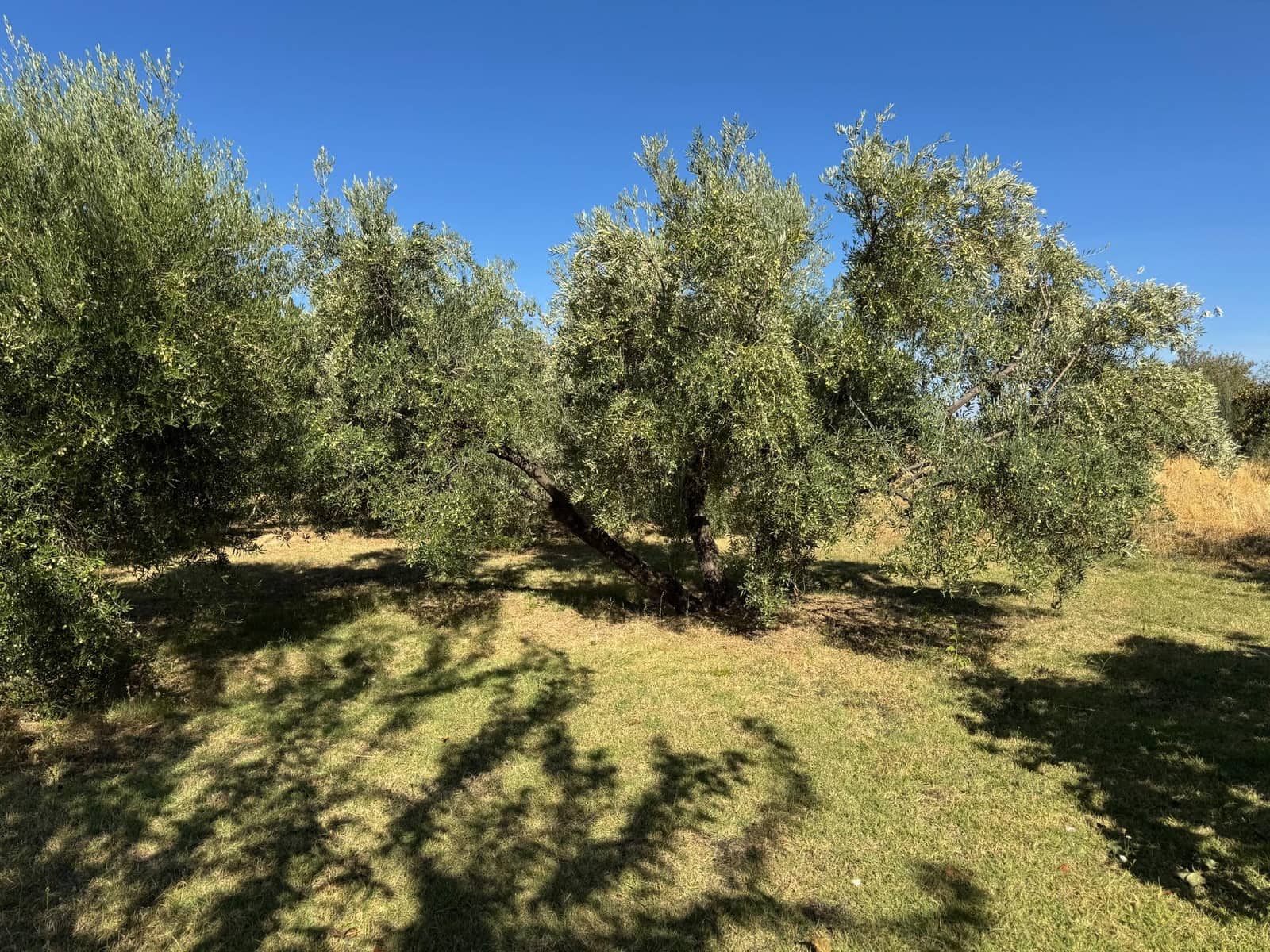 4 quarto Quinta/Casa Rural para venda em Gojar com piscina - 1 000 000 € (Ref: 10014030)