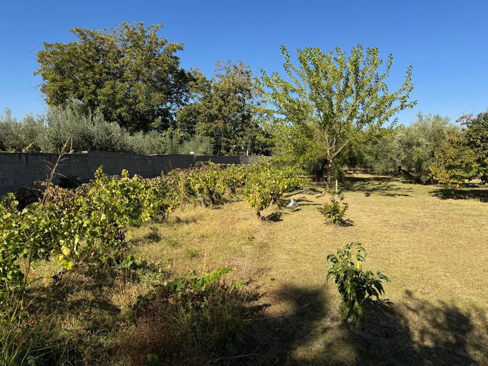 4 quarto Quinta/Casa Rural para venda em Gojar com piscina - 1 000 000 € (Ref: 10014030)
