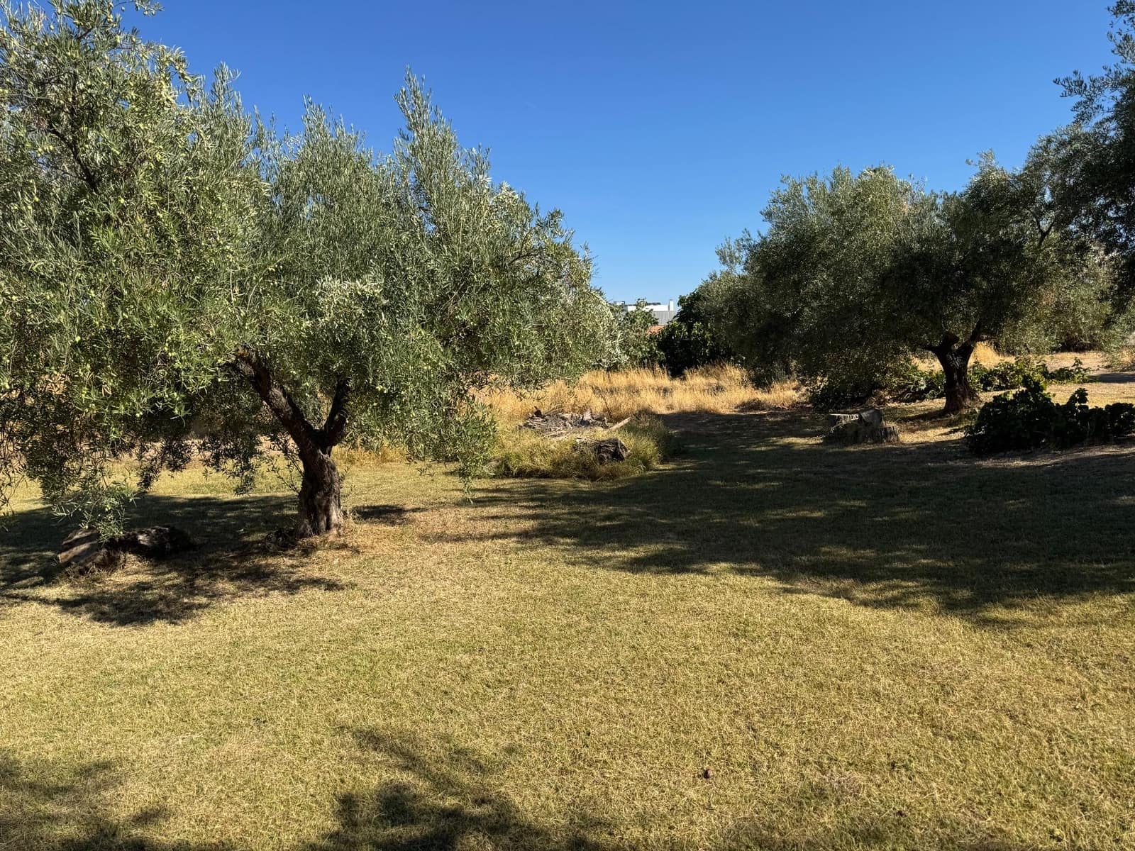4 quarto Quinta/Casa Rural para venda em Gojar com piscina - 1 000 000 € (Ref: 10014030)