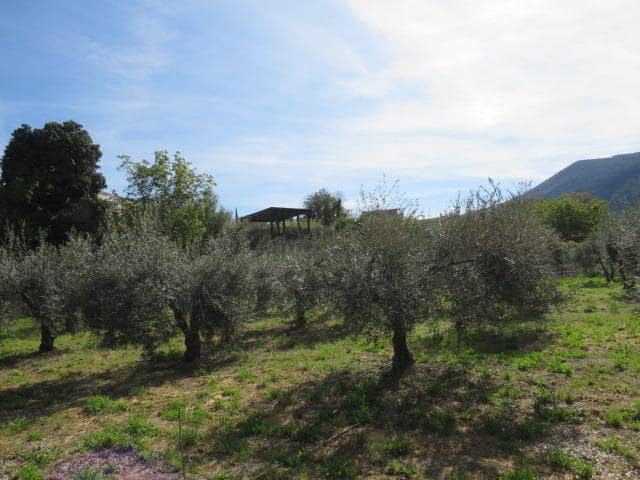 Undeveloped Land for sale in Cenes de la Vega - € 88,000 (Ref: 10014036)