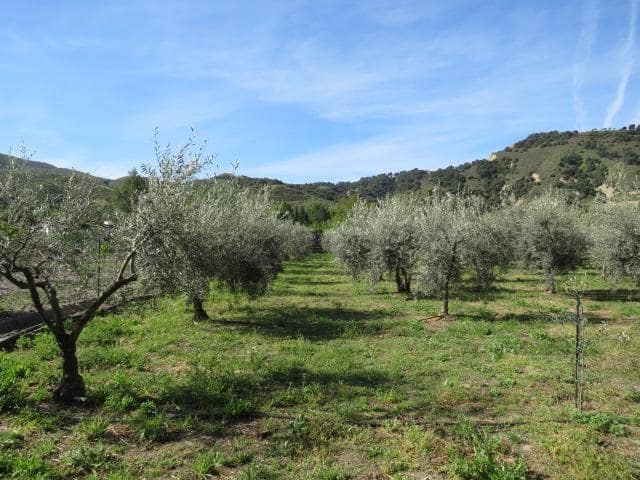 Undeveloped Land for sale in Cenes de la Vega - € 88,000 (Ref: 10014036)